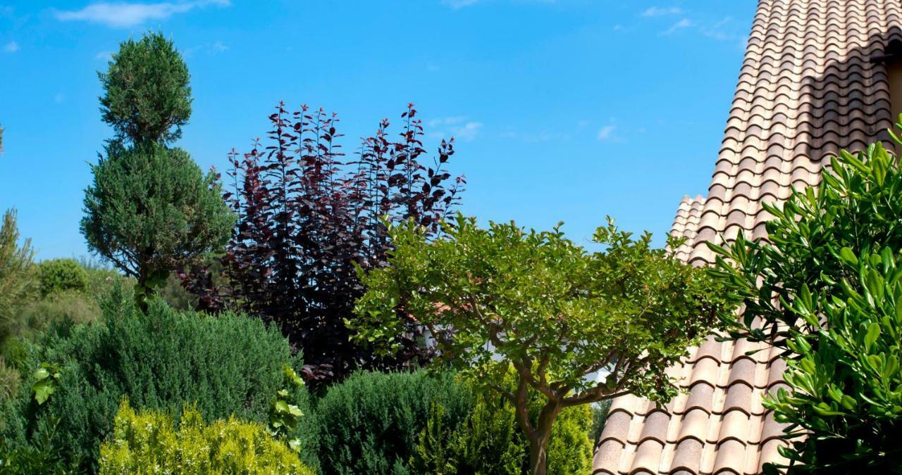 Apartament Les Tonyines Llança Buitenkant foto